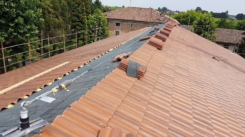 Linea Vita